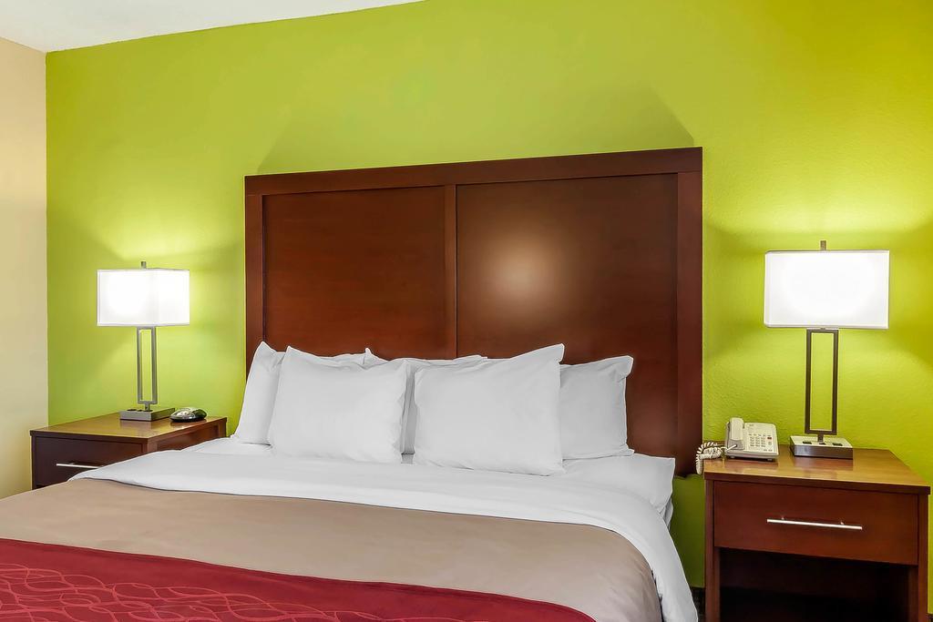 Comfort Inn St Petersburg North Exterior photo