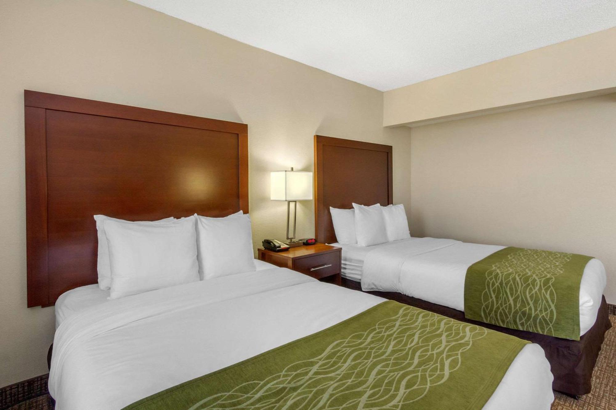 Comfort Inn St Petersburg North Exterior photo
